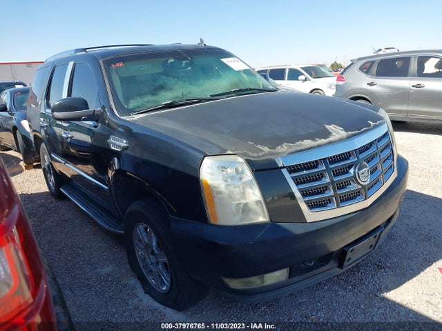 2007 CADILLAC ESCALADE STANDARD VIN: 1GYEC63847R345999