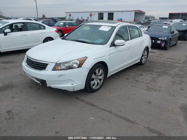 Продаж на аукціоні авто 2010 Honda Accord 2.4 Ex-l, vin: 1HGCP2F8XAA020092, номер лоту: 37977544