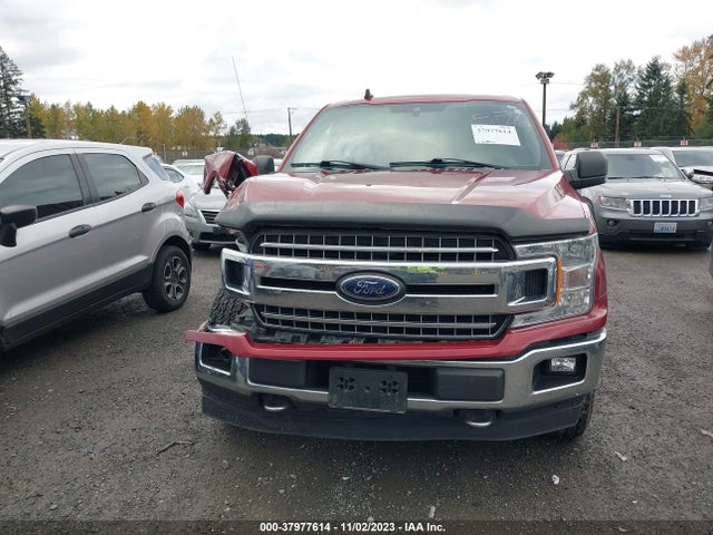 Ford F-150 Xlt 2019 1FTFW1E44KFA81398 Image 12