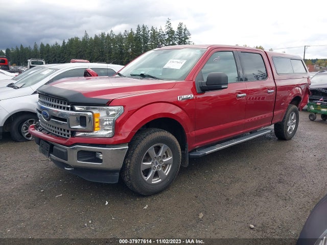 Ford F-150 Xlt 2019 1FTFW1E44KFA81398 Image 2