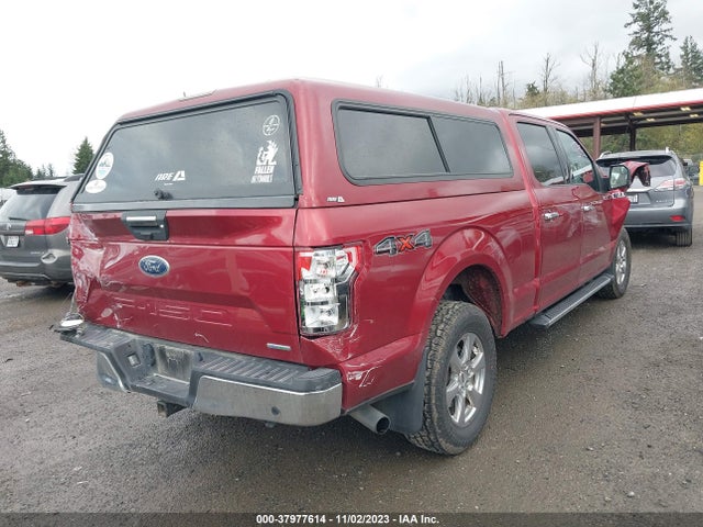 Ford F-150 Xlt 2019 1FTFW1E44KFA81398 Image 4
