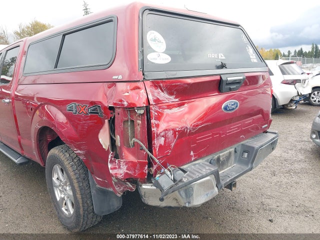 Ford F-150 Xlt 2019 1FTFW1E44KFA81398 Image 6