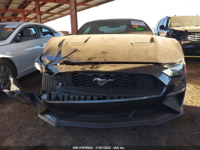 2019 FORD MUSTANG ECOBOOST VIN: 1FA6P8TH7K5193216