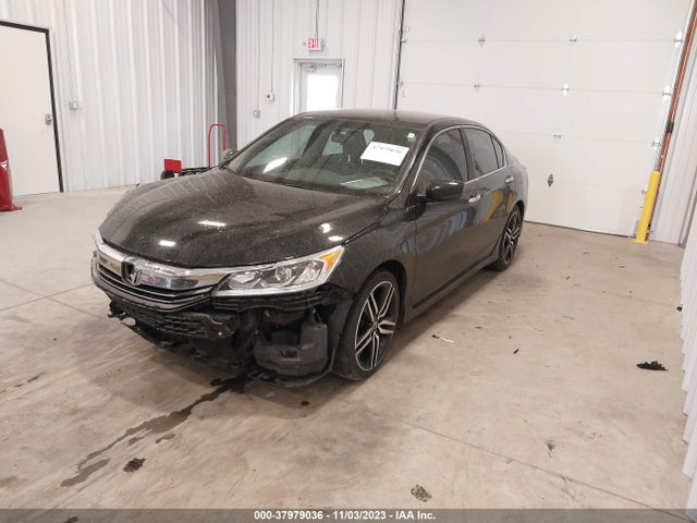 Продаж на аукціоні авто 2017 Honda Accord Sport, vin: 1HGCR2F51HA259461, номер лоту: 37979036