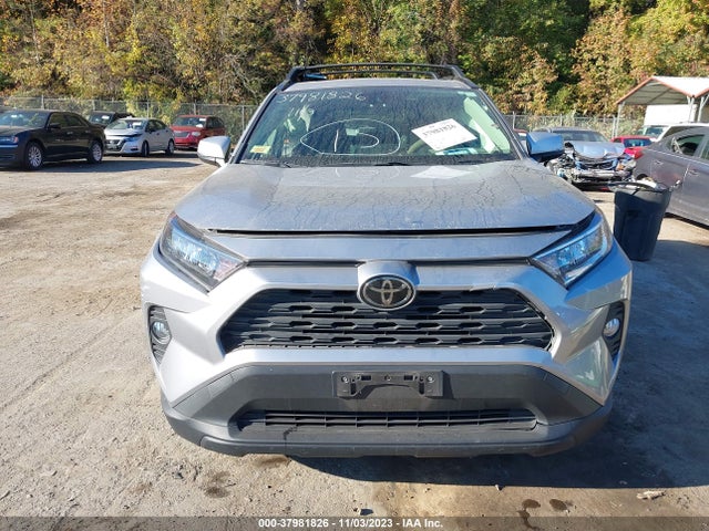 2019 TOYOTA RAV4 XLE VIN: JTMP1RFV5KD021165