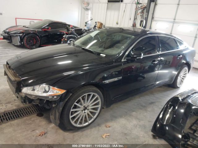 2013 JAGUAR XJ SAJWJ2GDXD8V46177 Photo 1