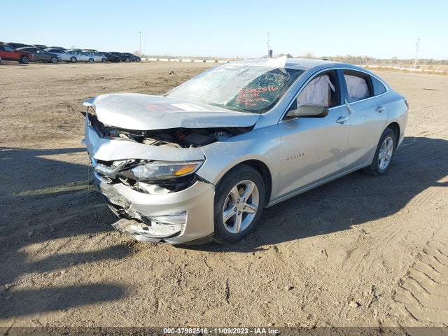 Chevrolet Malibu 1ls 2019 1G1ZB5ST9KF185311 Image 2