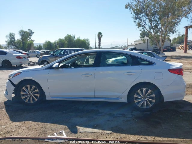 2016 HYUNDAI SONATA SPORT VIN: 5NPE34AFXGH392151