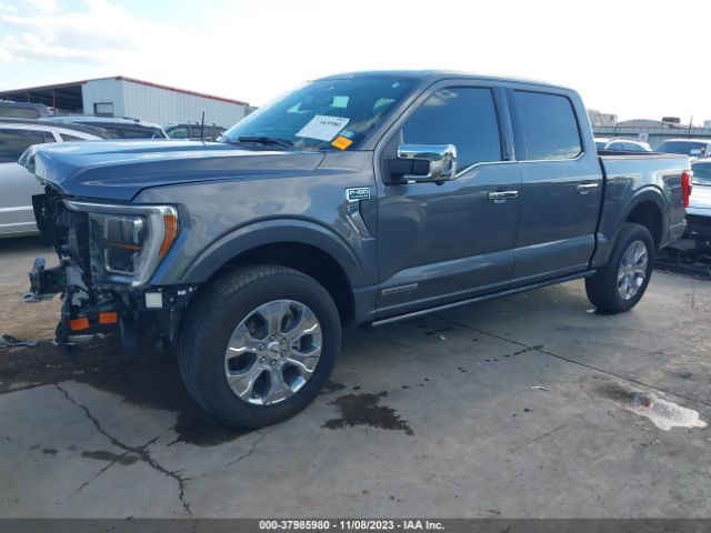 2023 FORD F-150 1FTFW1ED3PFA71324 Photo 1