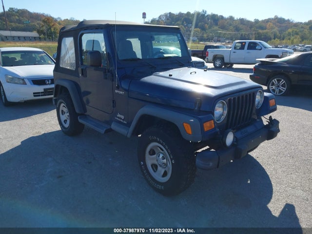 2003 JEEP WRANGLER SPORT VIN: 1J4FA49S13P370060