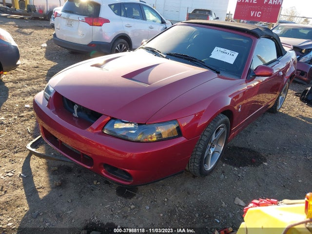 2003 FORD MUSTANG COBRA/10TH ANNIVERSARY PACKAGE VIN: 1FAFP49Y53F314921
