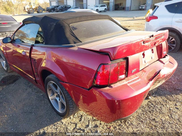 2003 FORD MUSTANG COBRA/10TH ANNIVERSARY PACKAGE VIN: 1FAFP49Y53F314921