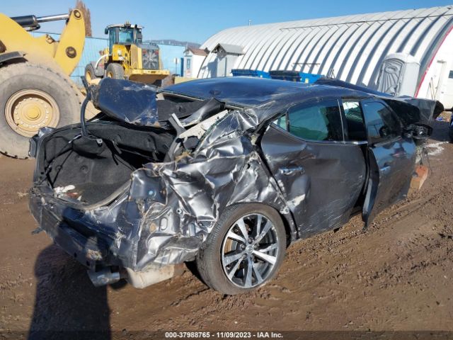 1N4AA6AP9HC443229 Nissan Maxima 3.5 Sv