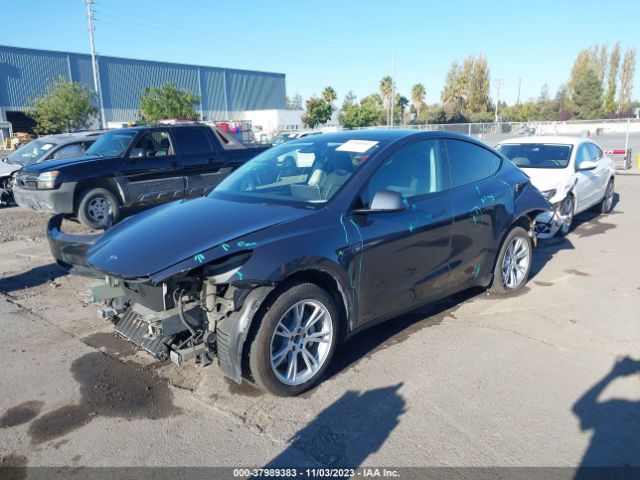 2022 TESLA MODEL Y 7SAYGAEE1NF556578 Photo 1