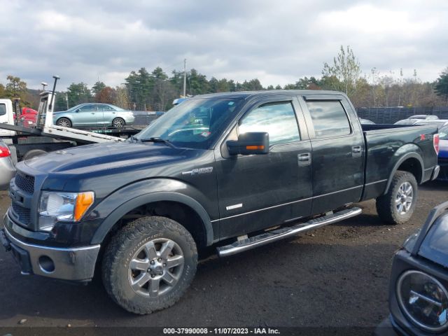 1FTFW1ET3EFB21143 Ford F-150 Xlt