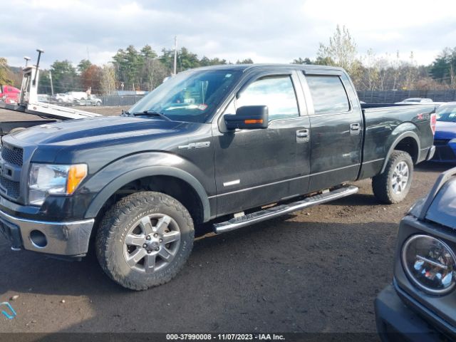 1FTFW1ET3EFB21143 Ford F-150 Xlt