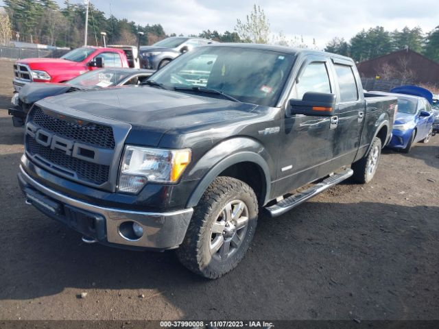 1FTFW1ET3EFB21143 Ford F-150 Xlt