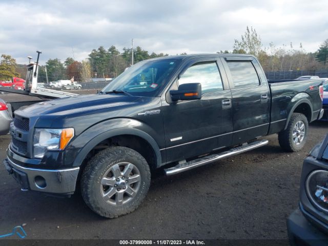 1FTFW1ET3EFB21143 Ford F-150 Xlt