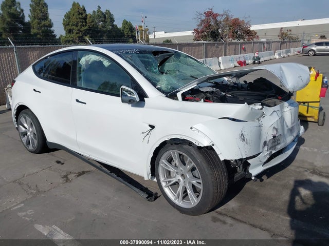 2023 TESLA MODEL Y 7SAYGDEE2PF589366 Photo 0