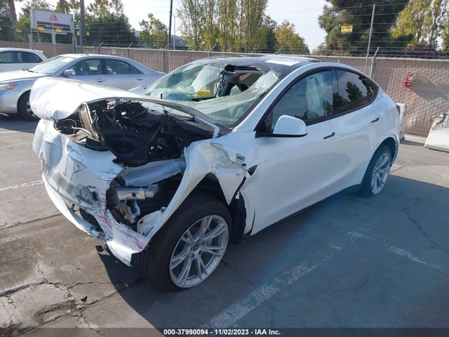 2023 TESLA MODEL Y 7SAYGDEE2PF589366 Photo 1