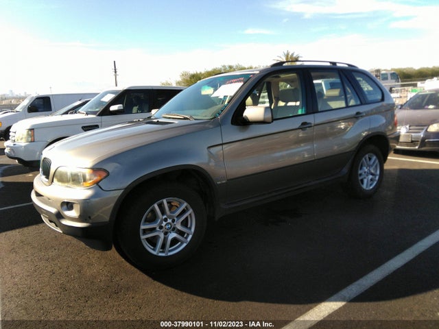 2005 BMW X5 3.0I VIN: 5UXFA13595LY10168