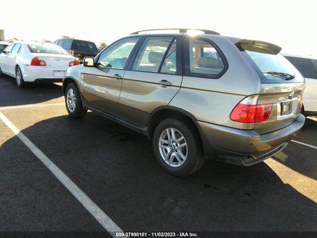 2005 BMW X5 3.0I VIN: 5UXFA13595LY10168