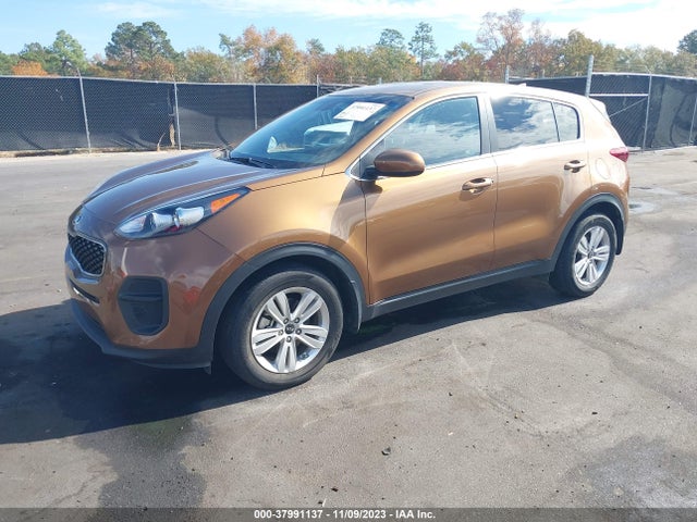 2017 KIA SPORTAGE LX VIN: KNDPM3AC1H7033959