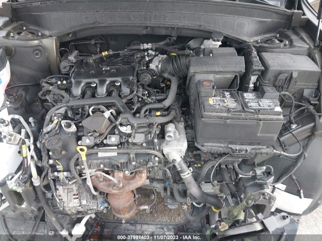 KIA Telluride Sx 2022 5XYP5DHCXNG202318 Image 10
