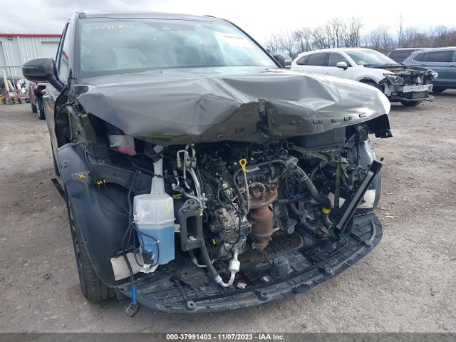 KIA Telluride Sx 2022 5XYP5DHCXNG202318 Image 6