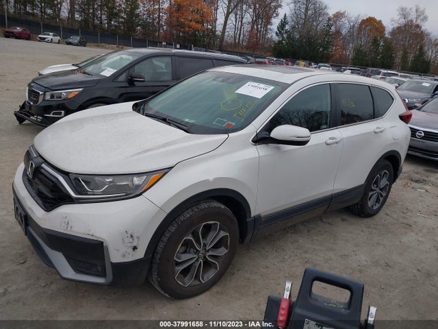 Honda Cr-v Awd Ex-l 2021 2HKRW2H89MH668819 Image 2