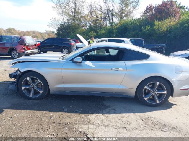 1FA6P8AM1F5312819 Ford Mustang V6