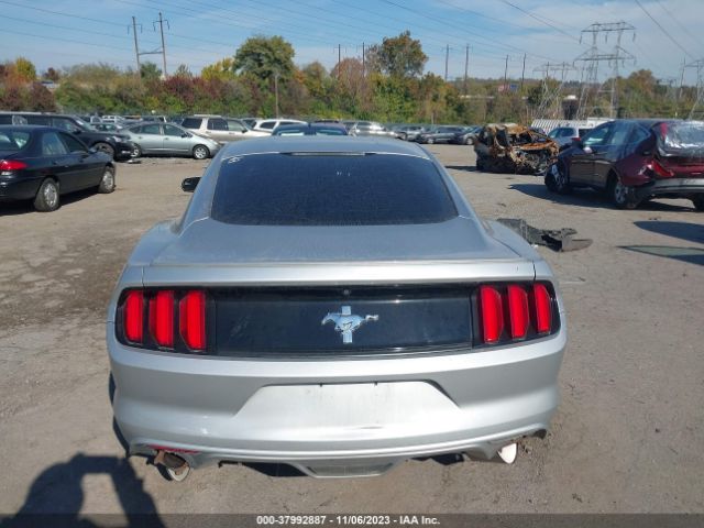1FA6P8AM1F5312819 Ford Mustang V6