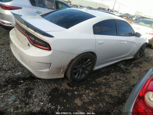 Dodge Charger Scat Pack 2023 2C3CDXGJ6PH506354 Image 4