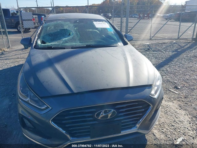 Hyundai SONATA ECO 2018 5NPE24AA7JH700536 Image 12