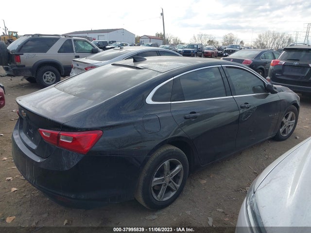 Chevrolet Malibu 1fl 2019 1G1ZC5ST7KF180525 Image 14