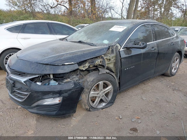 Chevrolet Malibu 1fl 2019 1G1ZC5ST7KF180525 Image 12