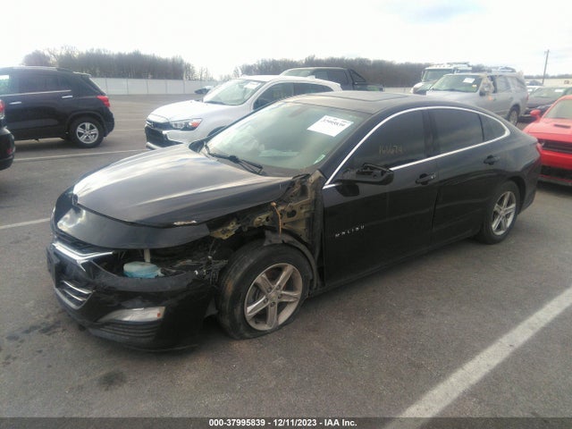 Chevrolet Malibu 1fl 2019 1G1ZC5ST7KF180525 Image 2
