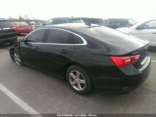 Chevrolet Malibu 1fl 2019 1G1ZC5ST7KF180525 Image 3