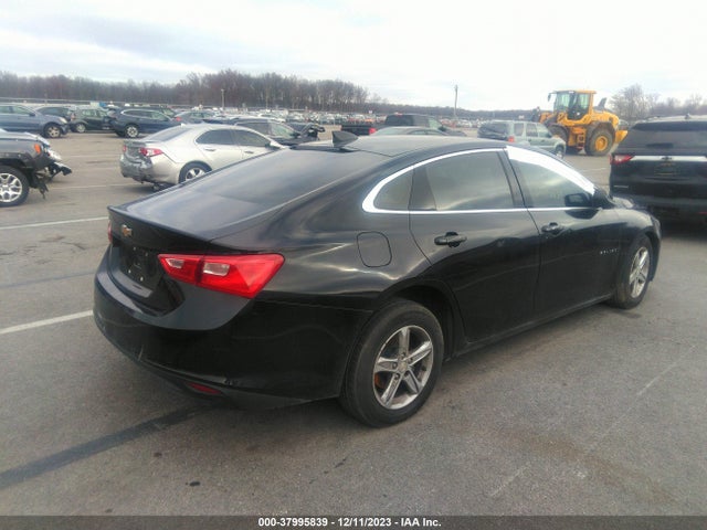 Chevrolet Malibu 1fl 2019 1G1ZC5ST7KF180525 Image 4
