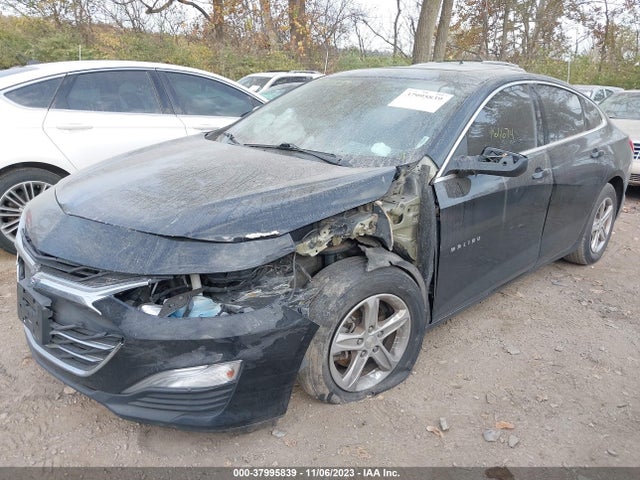 Chevrolet Malibu 1fl 2019 1G1ZC5ST7KF180525 Image 6
