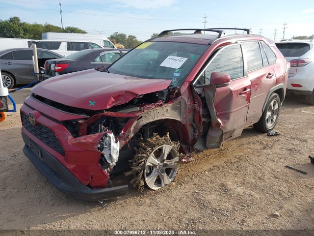 Toyota Rav4 Xle 2019 2T3W1RFV9KW015626 Image 2