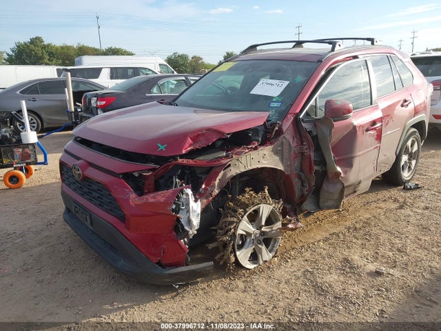 Toyota Rav4 Xle 2019 2T3W1RFV9KW015626 Image 6