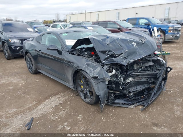 2019 FORD MUSTANG GT VIN: 1FA6P8CF1K5201440