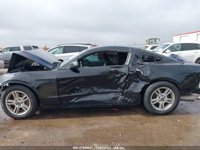 Ford Mustang V6 2014 1ZVBP8AM6E5254520 Image 14