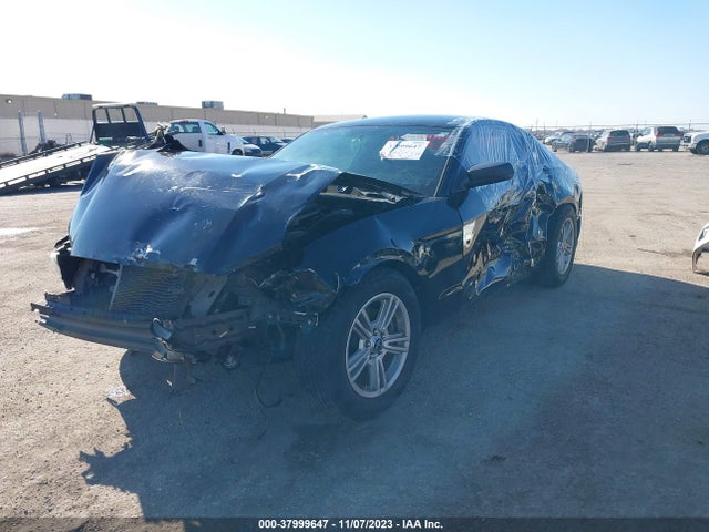 Ford Mustang V6 2014 1ZVBP8AM6E5254520 Image 2