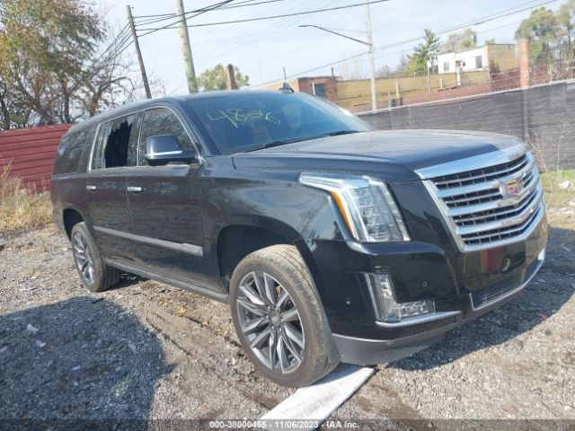 Auction sale of the 2019 Cadillac Escalade Esv Platinum, vin: 1GYS4KKJ4KR344826, lot number: 38000455