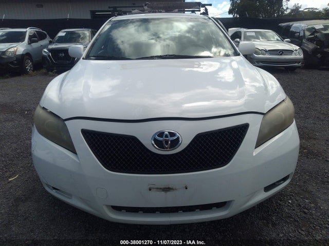 2009 TOYOTA CAMRY XLE/LE/SE VIN: JTNBE46K193162298