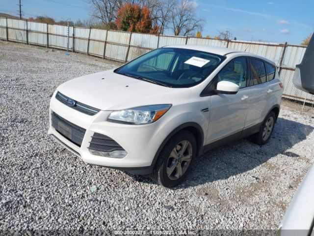 1FMCU0GXXEUB26219 Ford ESCAPE SE