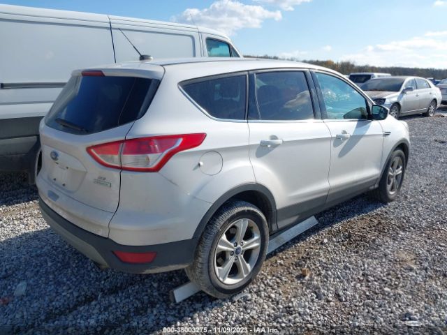 1FMCU0GXXEUB26219 Ford ESCAPE SE