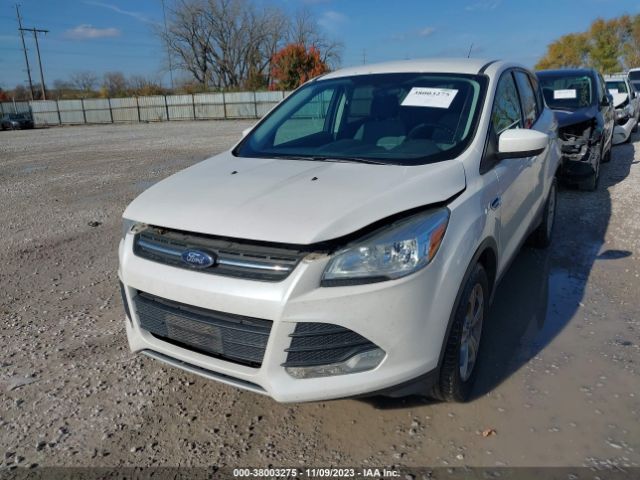 1FMCU0GXXEUB26219 Ford ESCAPE SE